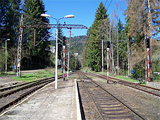 min 377 25.jpg min 377 25.jpg